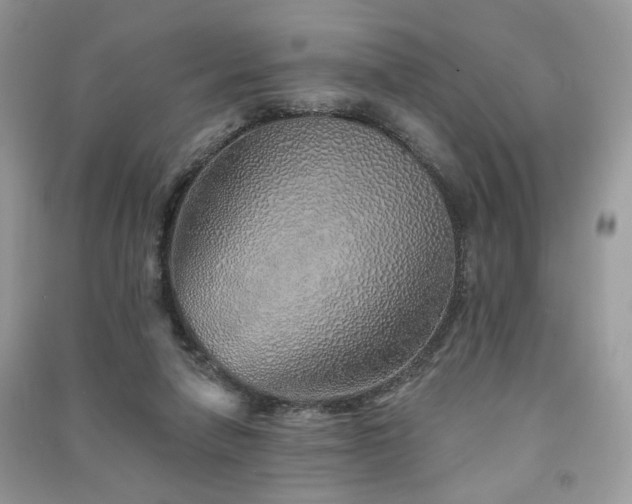 X0000091370258200708101538