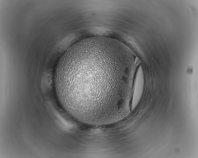 X0000091370259200708101538