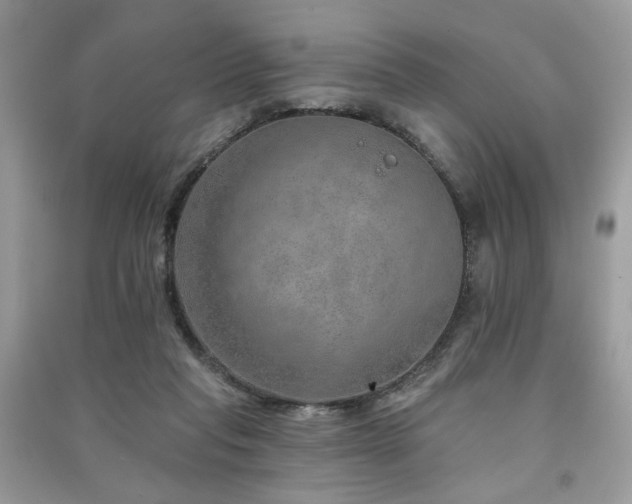 X0000091370261200708101538