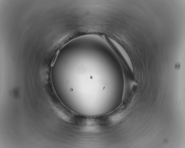 X0000091370264200708101538