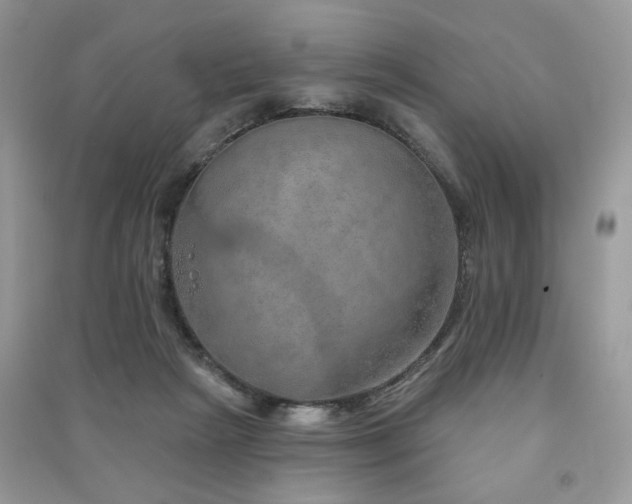 X0000091370265200708101538