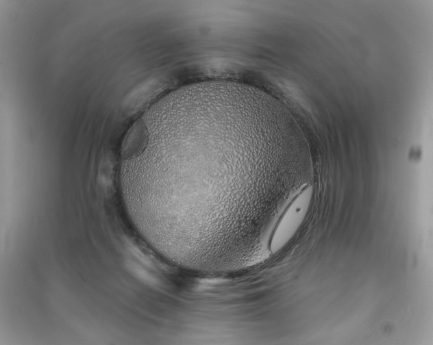 X0000091370266200708101538