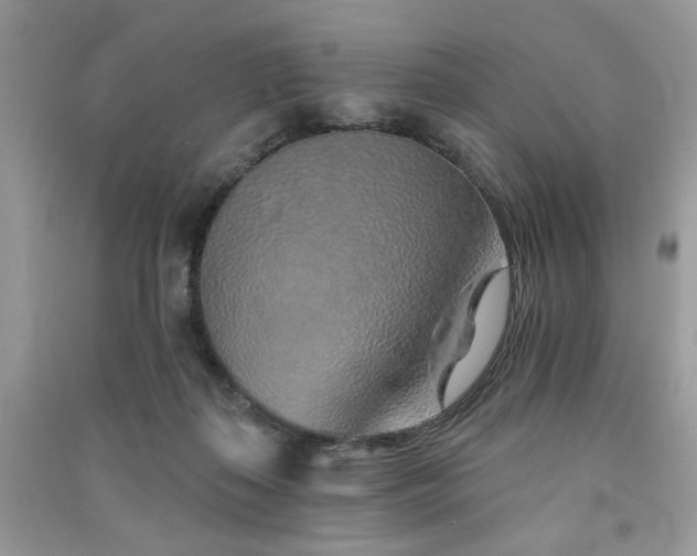 X0000091370267200708101538