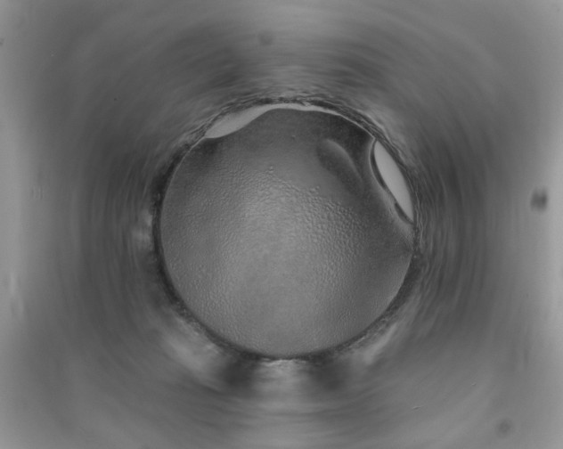 X0000091370269200708101538