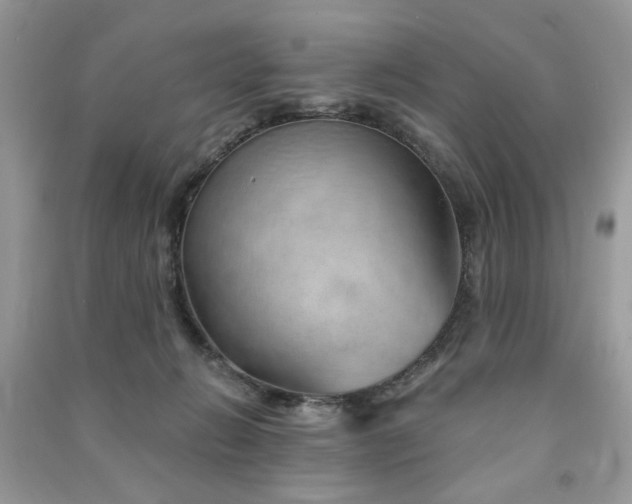 X0000091370270200708101538