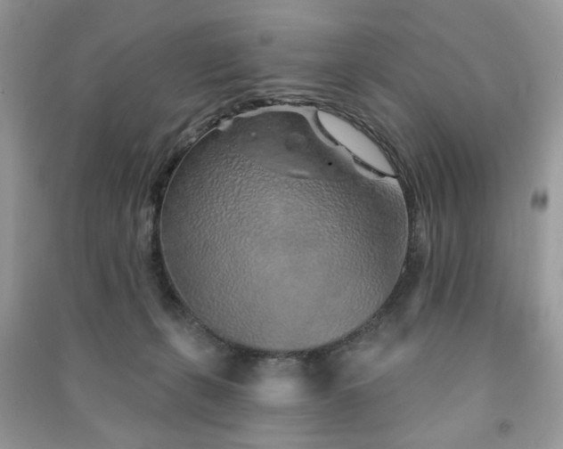 X0000091370271200708101538