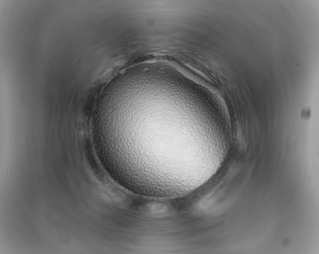 X0000091370272200708101538