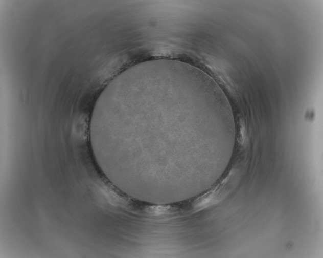 X0000091370273200708101538