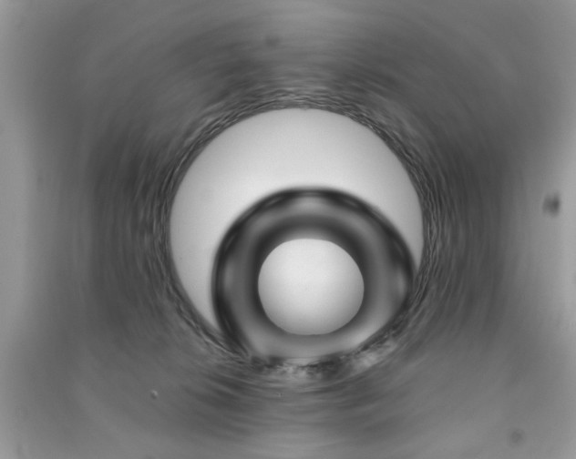 X0000091370276200708101538