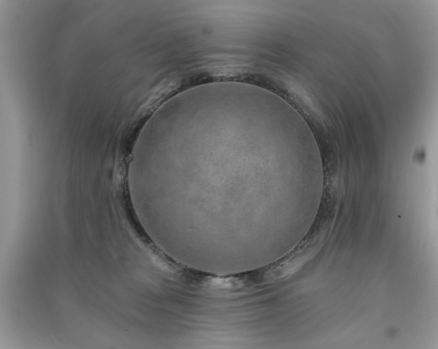 X0000091370277200708101538