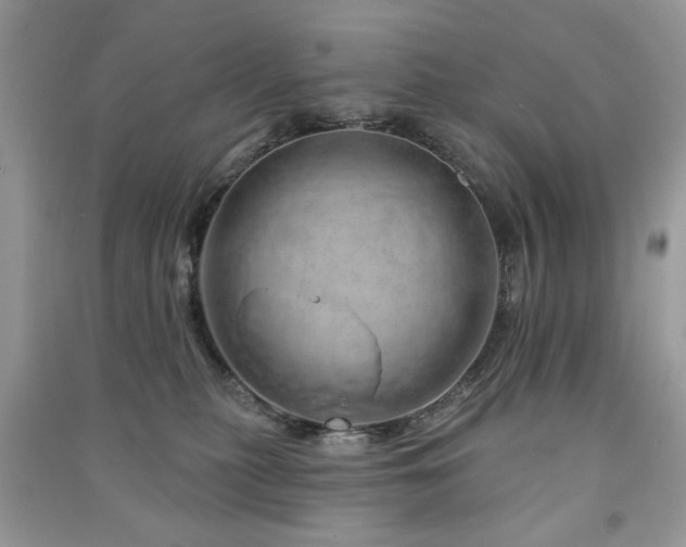 X0000091370279200708101538