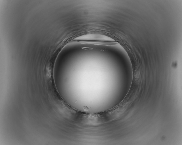 X0000091370282200708101539