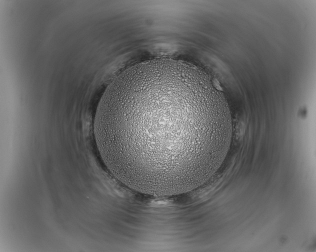 X0000091370283200708101539