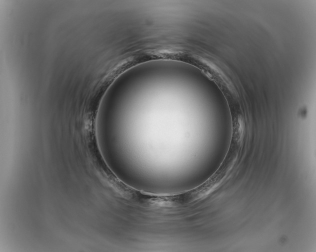 X0000091370284200708101539