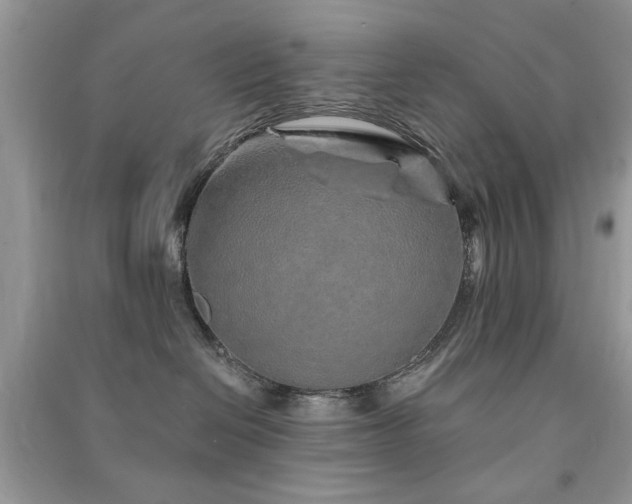 X0000091370286200708101539