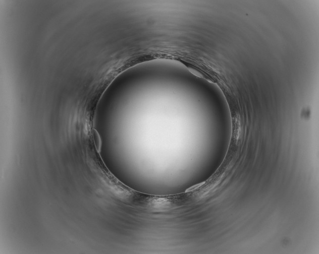 X0000091370287200708101539