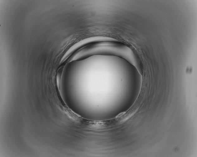 X0000091370288200708101539