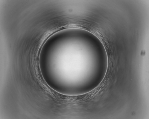 X0000091370289200708101538