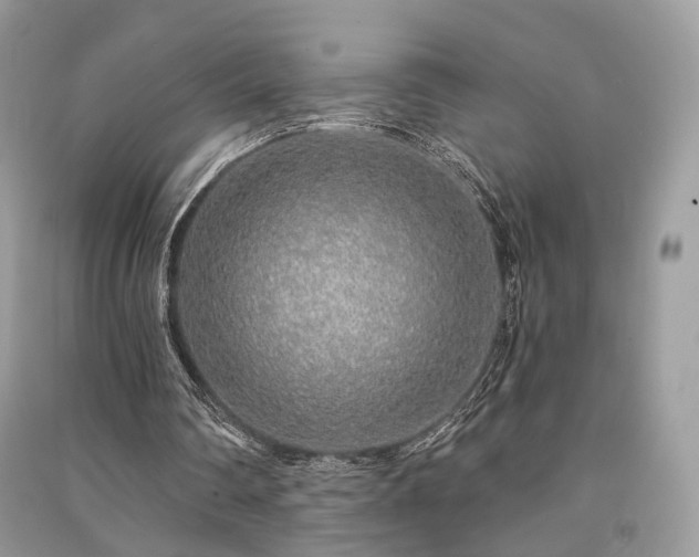 X0000091370290200708101538