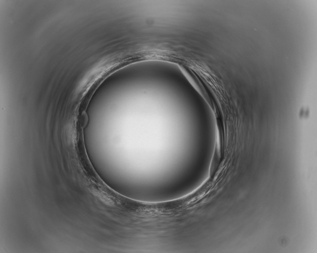 X0000091370291200708101538