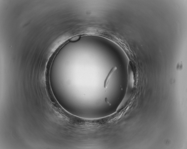 X0000091370292200708101538