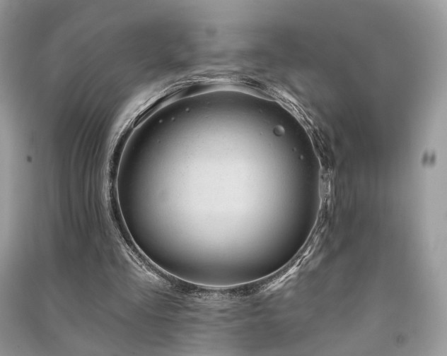 X0000091370293200708101538