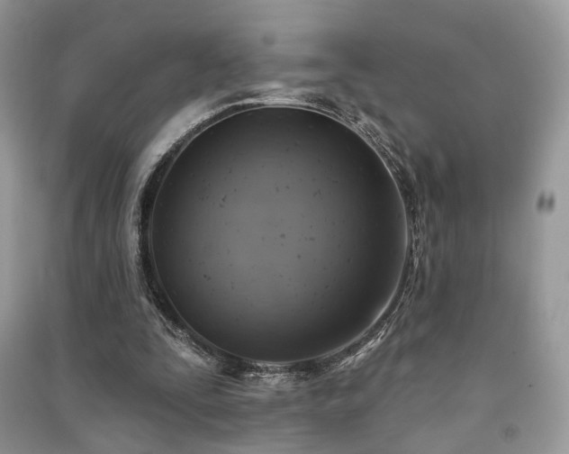 X0000091370295200708101538