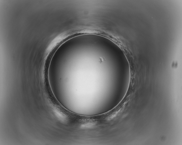 X0000091370296200708101538