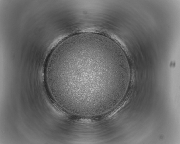 X0000091370298200708101538