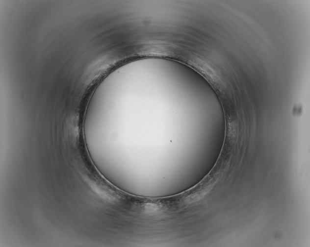 X0000091370302200708101538