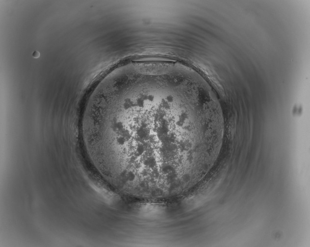 X0000091370303200708101538