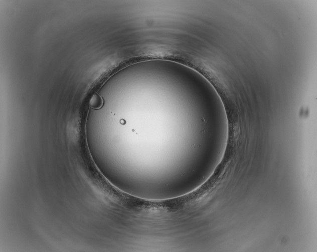 X0000091370304200708101538