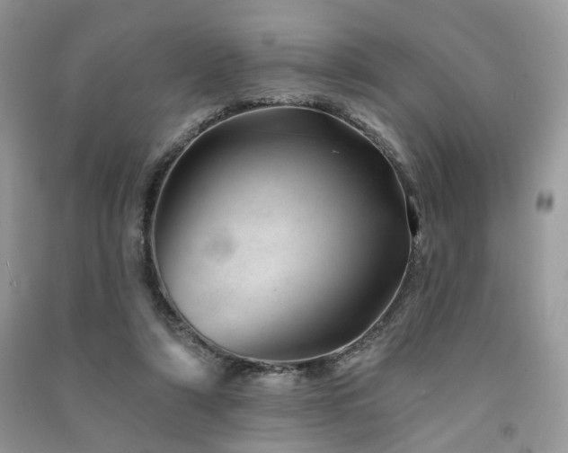 X0000091370306200708101538