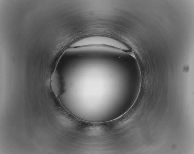 X0000091370307200708101538