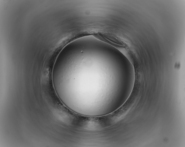 X0000091370308200708101538