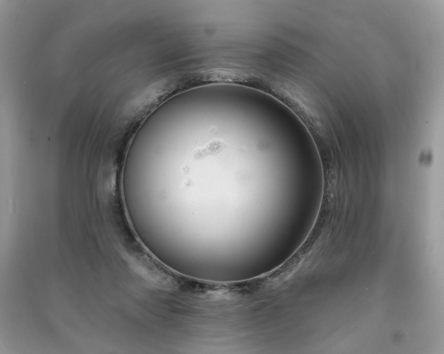 X0000091370310200708101538