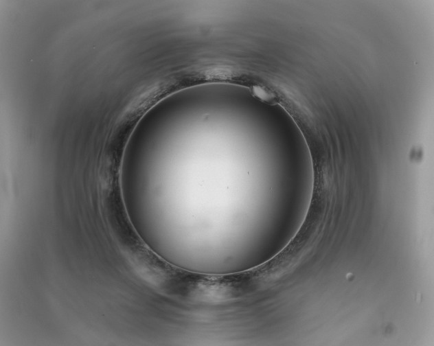 X0000091370311200708101538