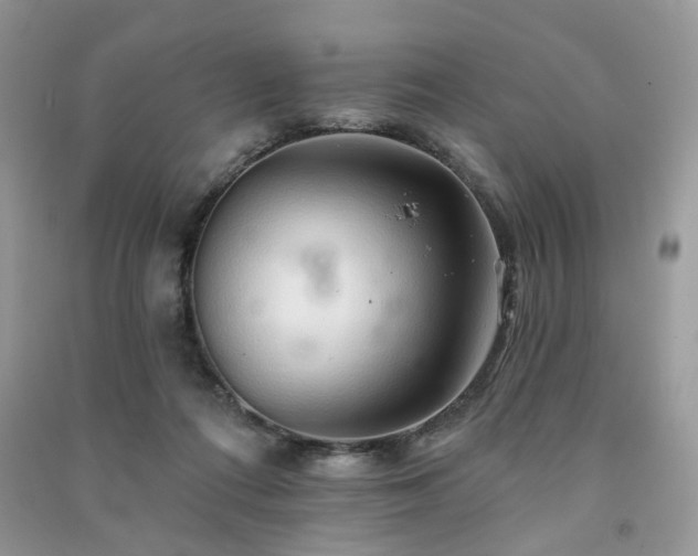 X0000091370312200708101538