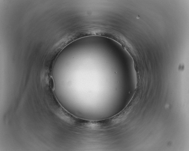 X0000091370313200708101538