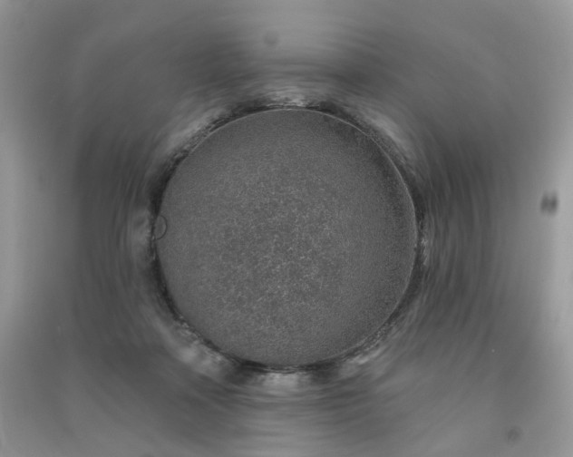 X0000091370314200708101538