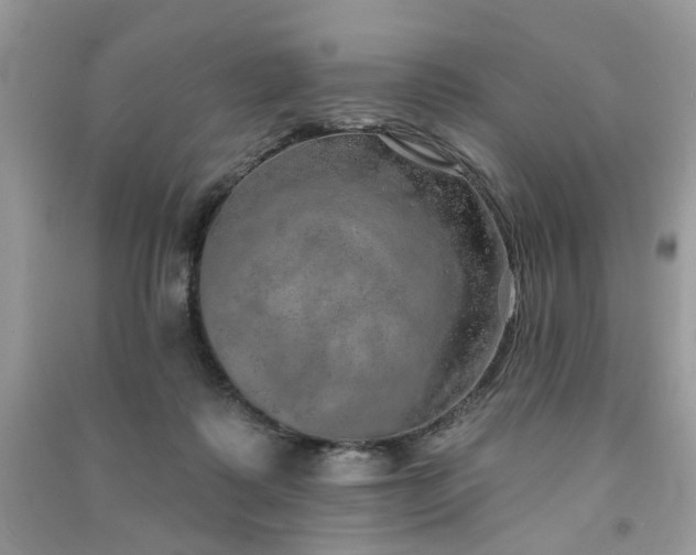 X0000091370315200708101538