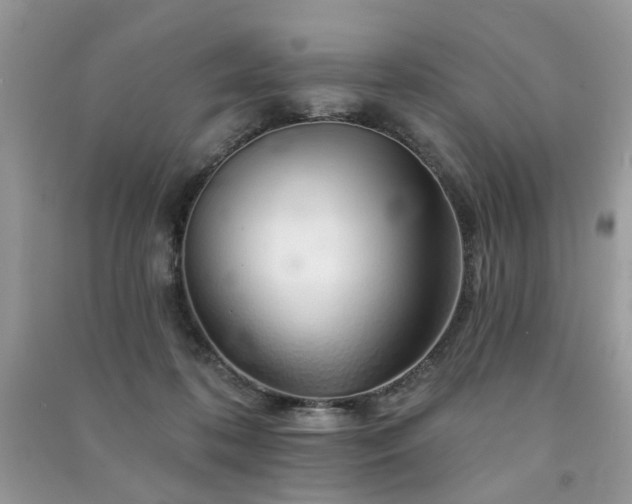 X0000091370316200708101538