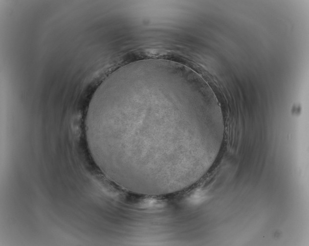 X0000091370319200708101538