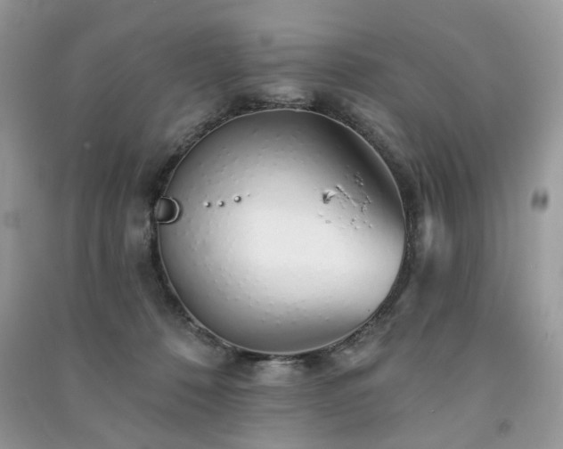 X0000091370320200708101538