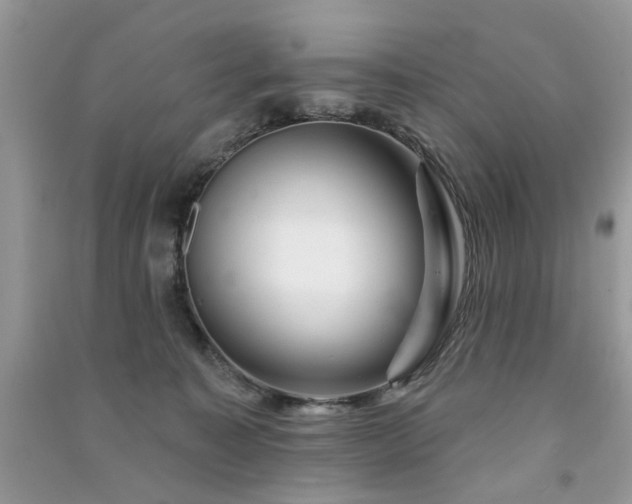 X0000091370323200708101538