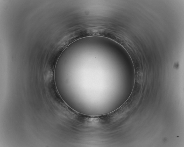 X0000091370324200708101538