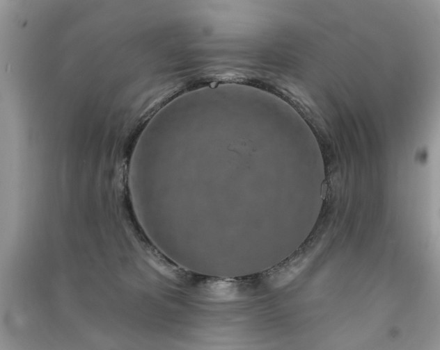 X0000091370325200708101538