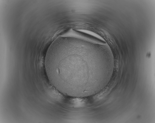 X0000091370326200708101538