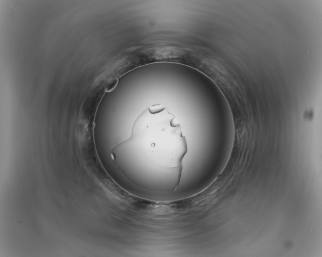 X0000091370327200708101538