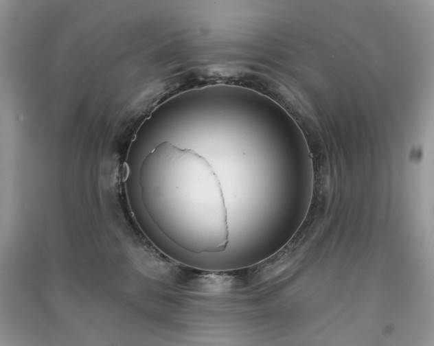 X0000091370328200708101537